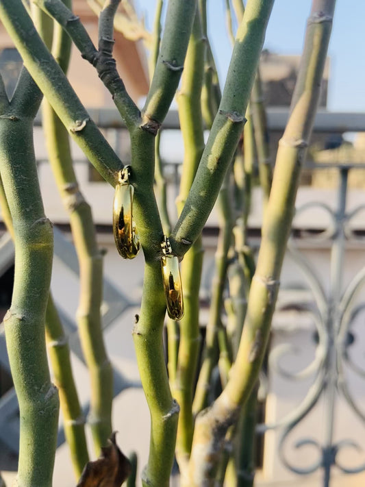 Gold Plated Classic Hoop Earrings for Women