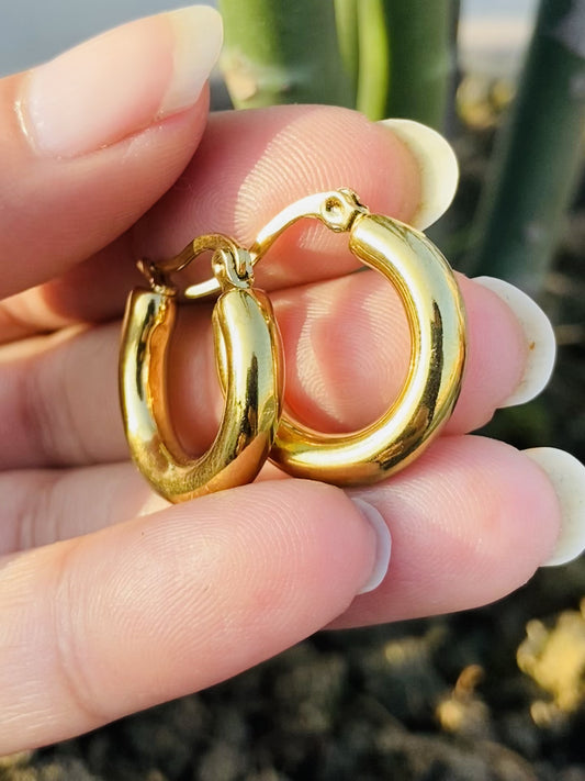 Gold Plated Classic Hoop Earrings for Women